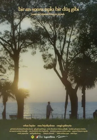 A moment later just like a dream movie poster - Entertainment content