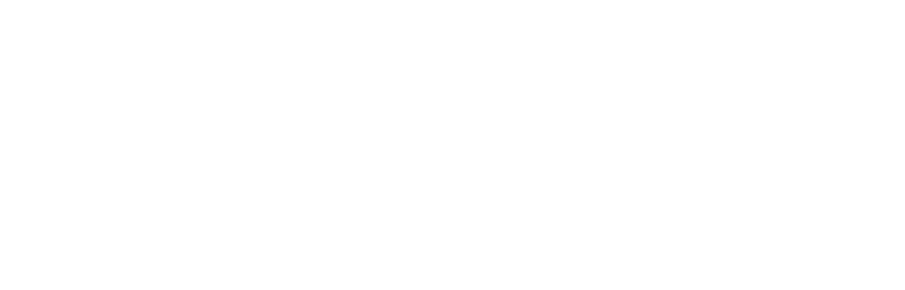 The Way of the Cheetah