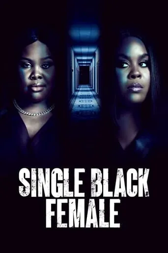 Single Black Female movie poster - Rated 6.7/10