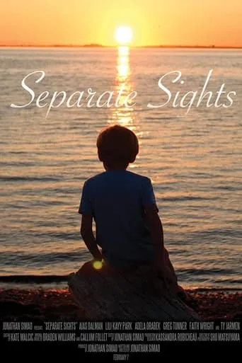 Separate Sights movie poster - Entertainment content