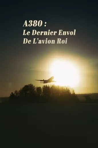 A380 : Le Dernier Envol de lavion roi movie poster - Entertainment content