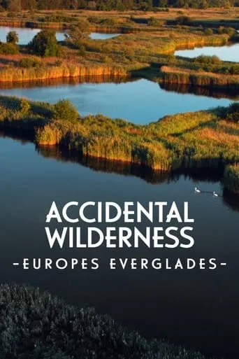 The Accidental Wilderness: Europe's Everglades movie poster - Entertainment content