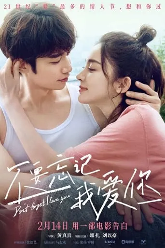 Don't Forget I Love You movie poster - Rated 6.5/10