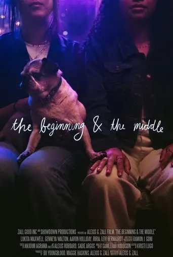 The Beginning & the Middle movie poster - Rated 4.8/10