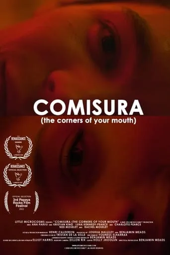 Comisura (The Corners of Your Mouth) movie poster - Entertainment content