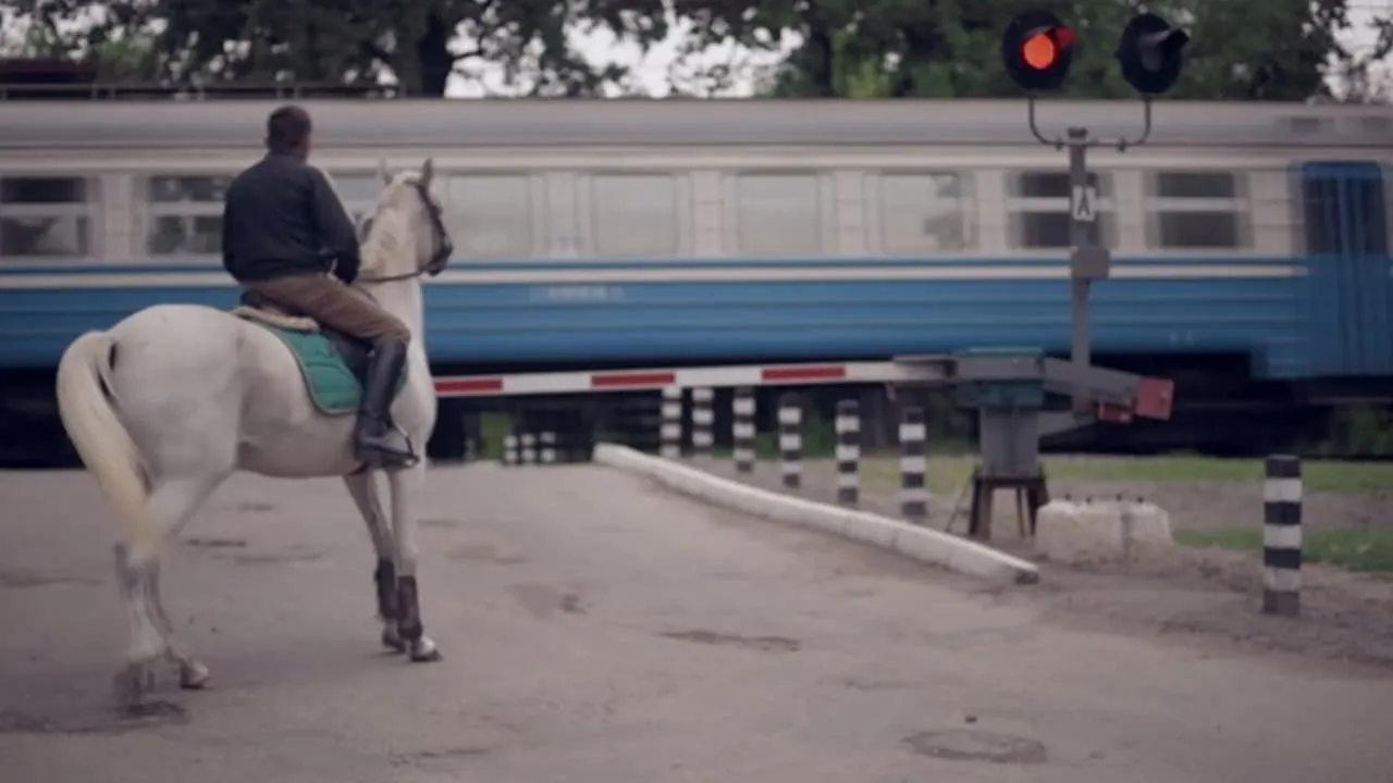 Grey Horses