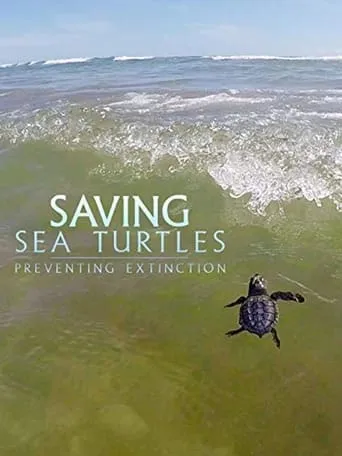 Saving Sea Turtles: Preventing Extinction movie poster - Entertainment content