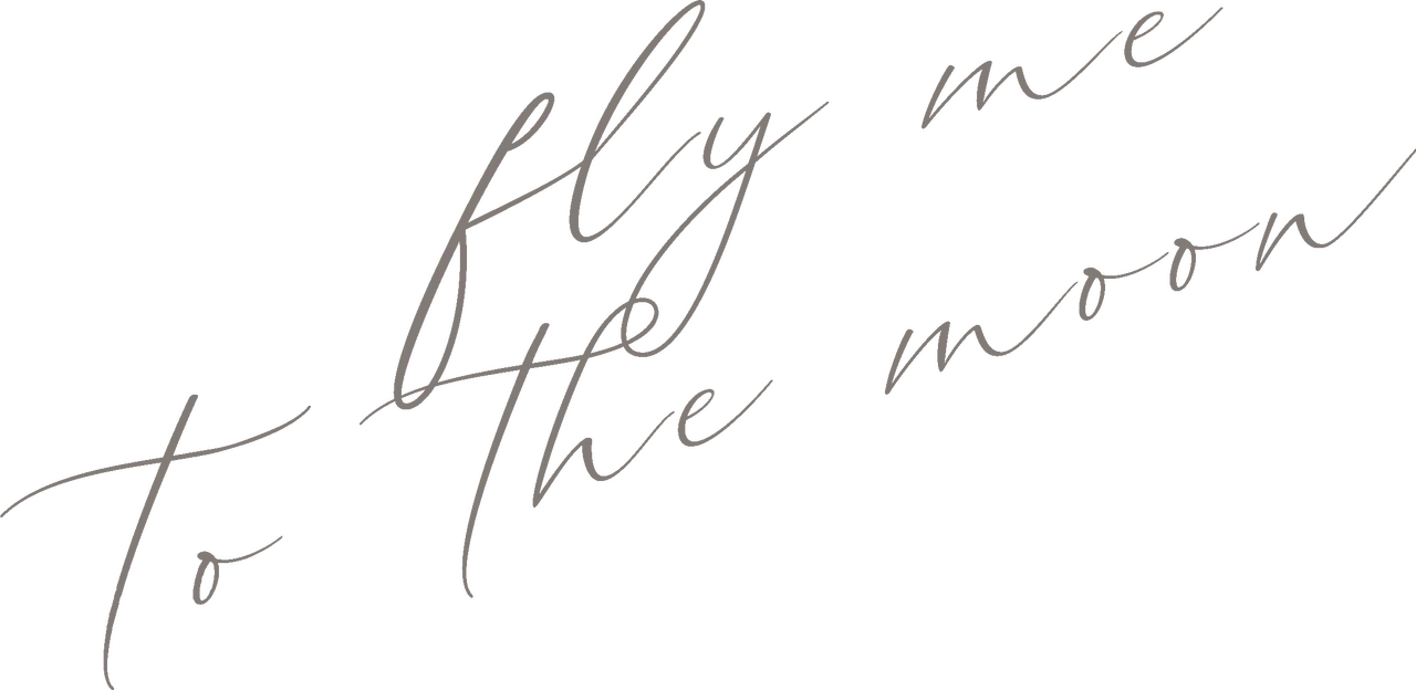 Fly Me to the Moon