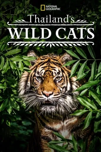 Thailand's Wild Cats movie poster - Rated 7.8/10