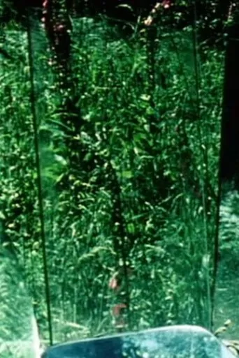 Peripeteia II movie poster - Entertainment content