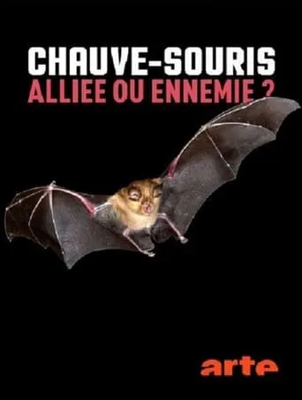 Chauve-souris: alliée ou ennemie? movie poster - Rated 7/10