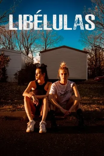 Dragonflies movie poster - Rated 5.8/10