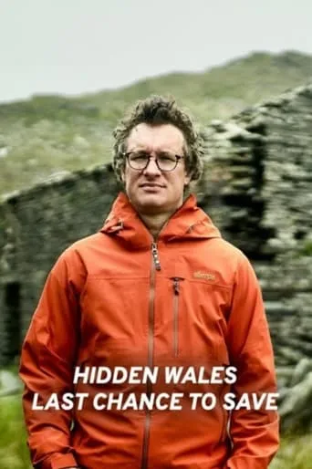 Hidden Wales: Last Chance to Save movie poster - Entertainment content