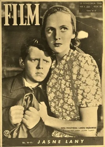 Jasne łany movie poster - Entertainment content
