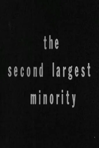 The Second Largest Minority movie poster - Entertainment content