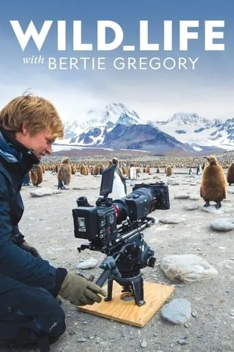 Wild Life: The Big Freeze movie poster - Entertainment content