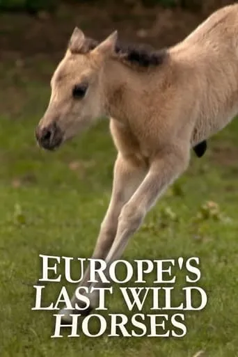 Europe's Last Wild Horses movie poster - Entertainment content