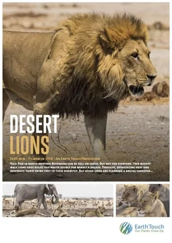 Desert Lions movie poster - Entertainment content