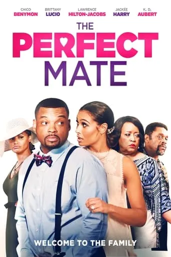 The Perfect Mate movie poster - Rated 6/10