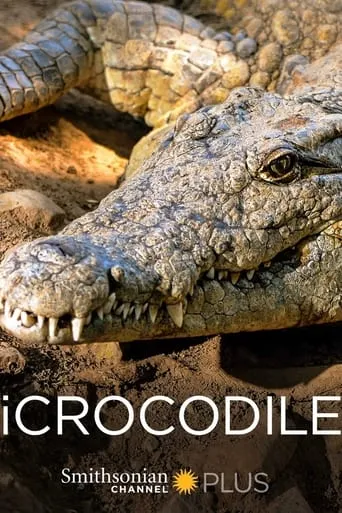 iCrocodile movie poster - Entertainment content