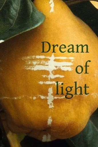 Dream of Light movie poster - Rated 7.1/10