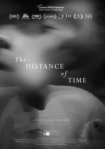 The Distance of Time movie poster - Entertainment content