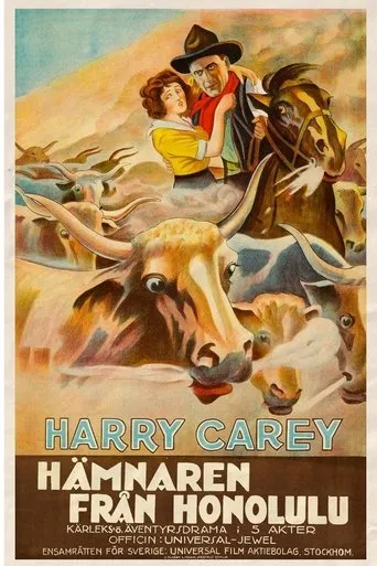 The Outlaw and the Lady movie poster - Entertainment content