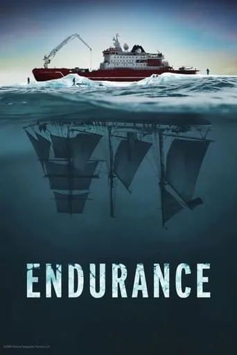 Endurance movie poster - Rated 7.114/10