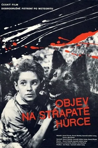 Objev na Střapaté hůrce movie poster - Entertainment content
