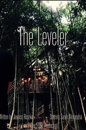 The Leveler movie poster - Entertainment content