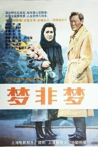 梦非梦 movie poster - Entertainment content