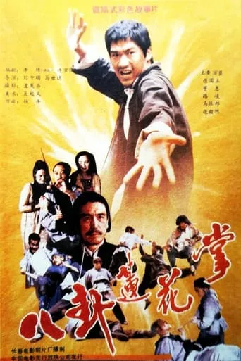 The Lotus Palm of the 8 Diagrams movie poster - Entertainment content