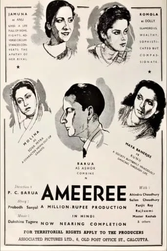 Ameeree movie poster - Entertainment content