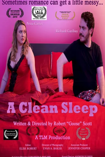 A Clean Sleep movie poster - Entertainment content
