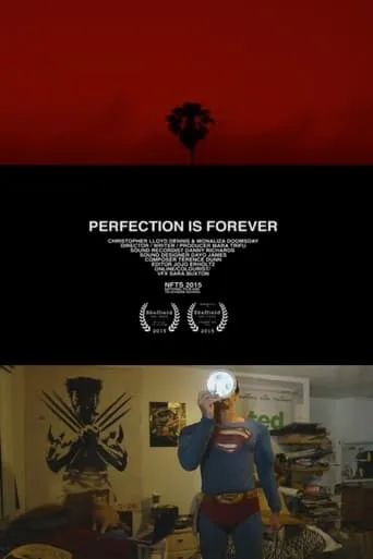 Perfection Is Forever movie poster - Rated 6/10