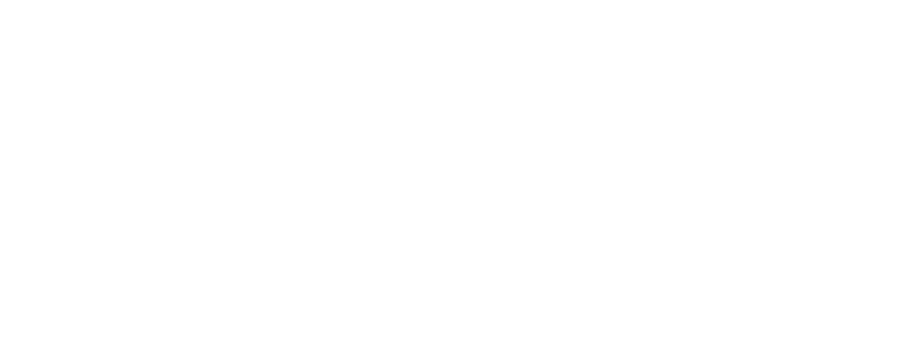 Solo