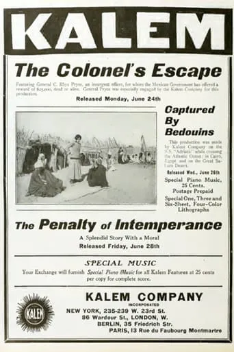 The Penalty of Intemperance movie poster - Entertainment content