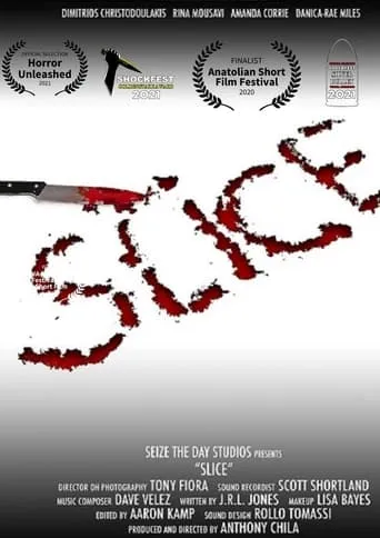 Slice movie poster - Rated 9.5/10