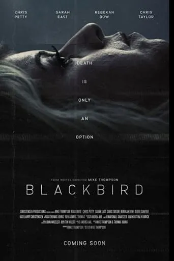 Blackbird movie poster - Entertainment content