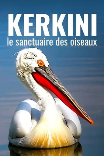 Kerkini: The Bird Sanctuary movie poster - Entertainment content