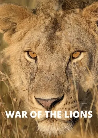 War of the Lions movie poster - Entertainment content