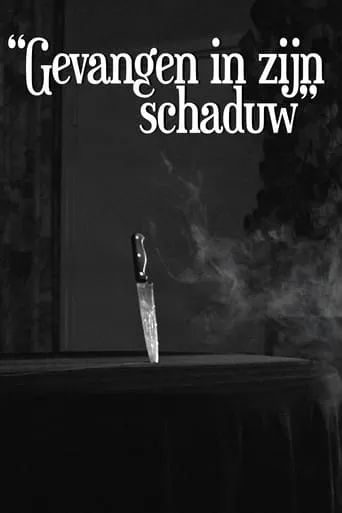 Gevangen In Zijn Schaduw movie poster - Entertainment content