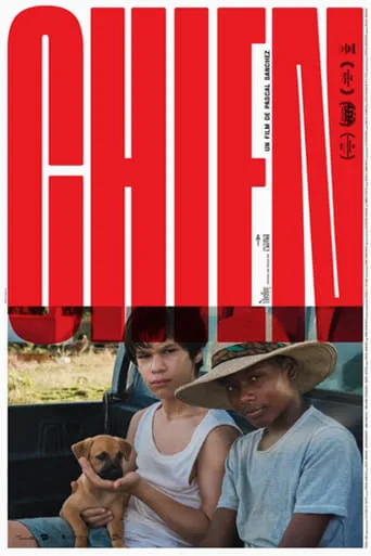 Dog movie poster - Entertainment content
