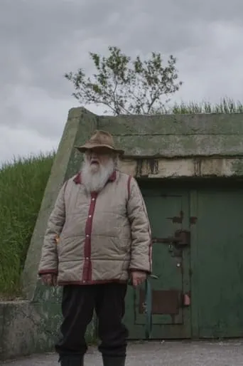 Shelter movie poster - Entertainment content