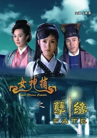 女神捕之孽缘 movie poster - Entertainment content