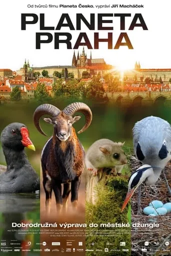 Wild Prague movie poster - Rated 6/10