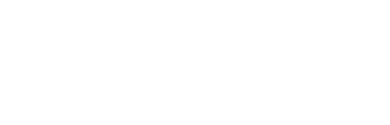 Downtown Owl