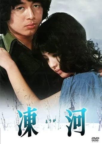 Frozen River movie poster - Rated 3/10