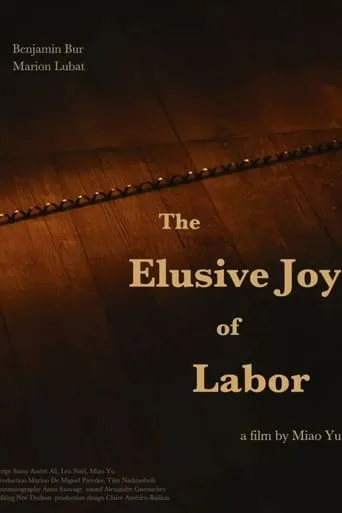 The Elusive Joy of Labor movie poster - Rated 6/10