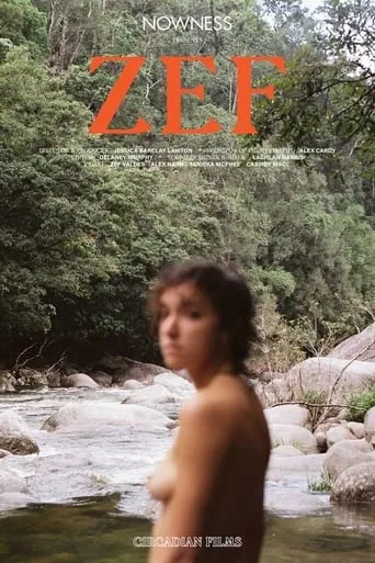 ZEF movie poster - Rated 2/10